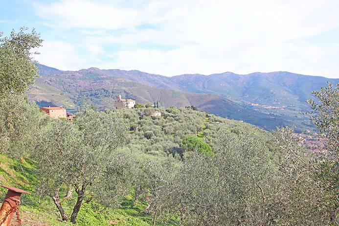 immagine annuncio 11 di 13