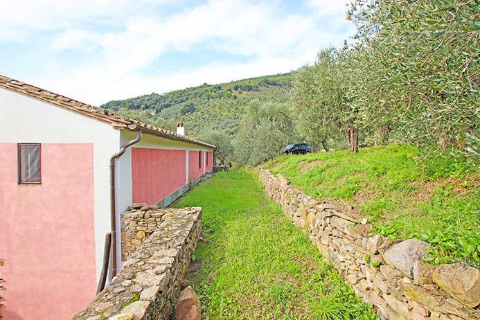 immagine annuncio 5 di 13