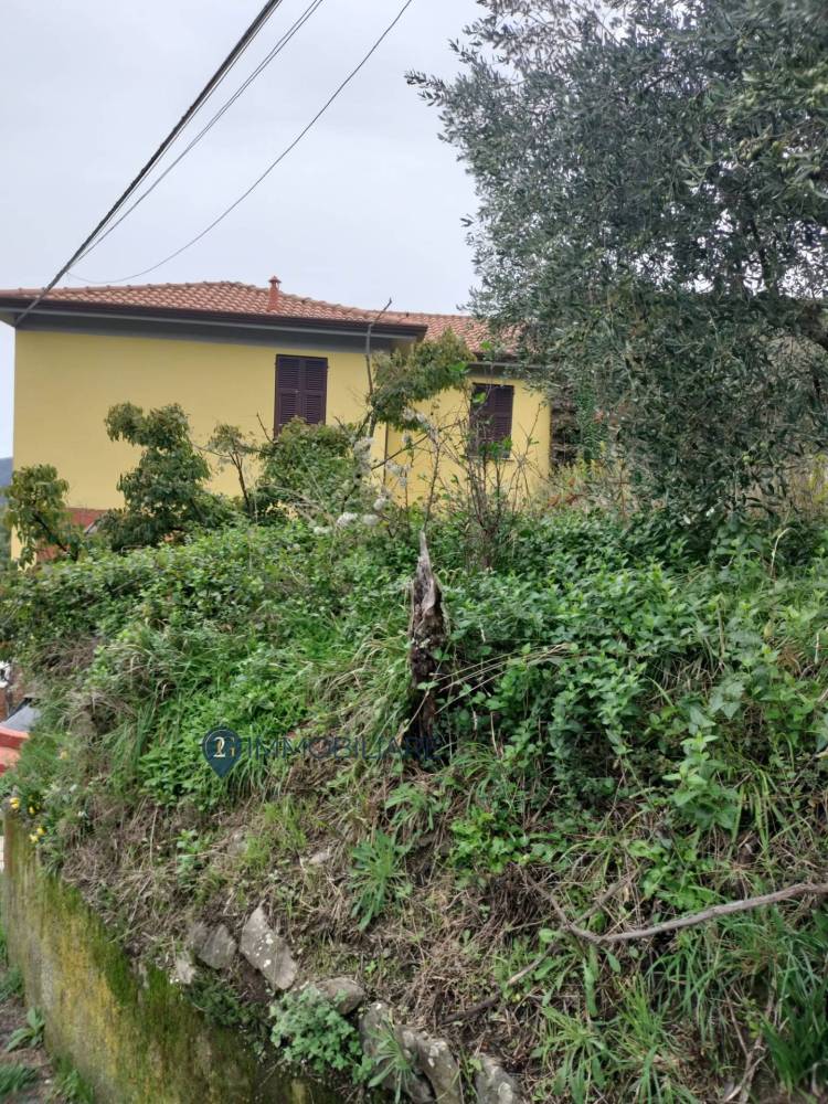 immagine annuncio 3 di 13