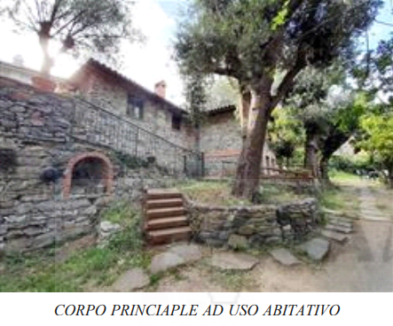 immagine annuncio 1 di 13