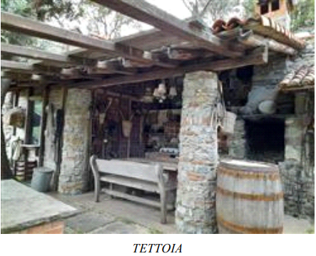 immagine annuncio 7 di 13