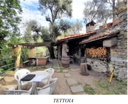 immagine annuncio 9 di 13