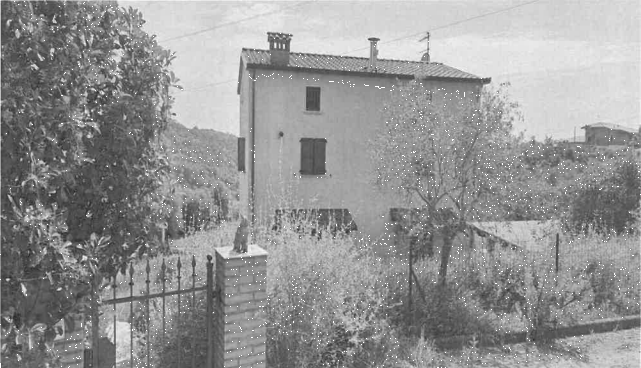 immagine annuncio 6 di 8