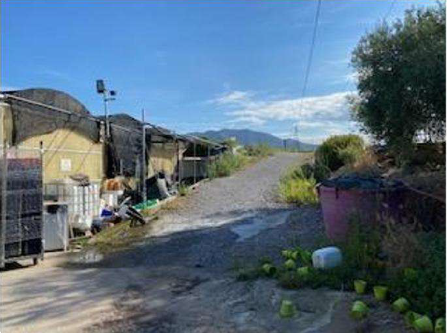 immagine annuncio 6 di 11