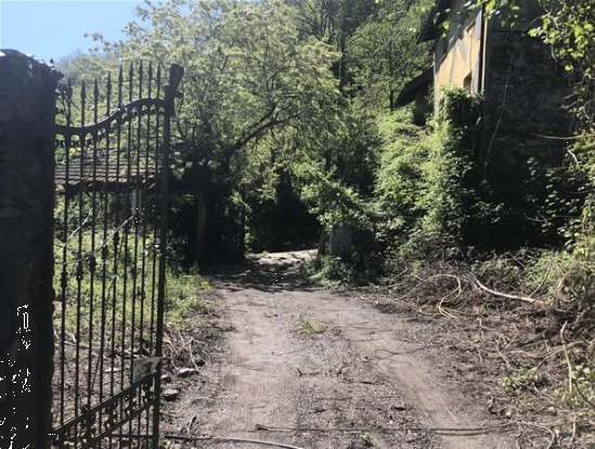 immagine annuncio 10 di 13