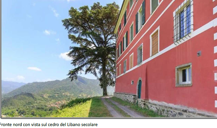 immagine annuncio 1 di 13