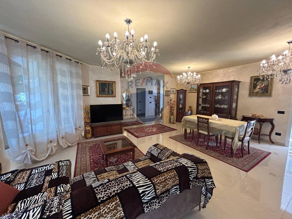immagine annuncio 3 di 12