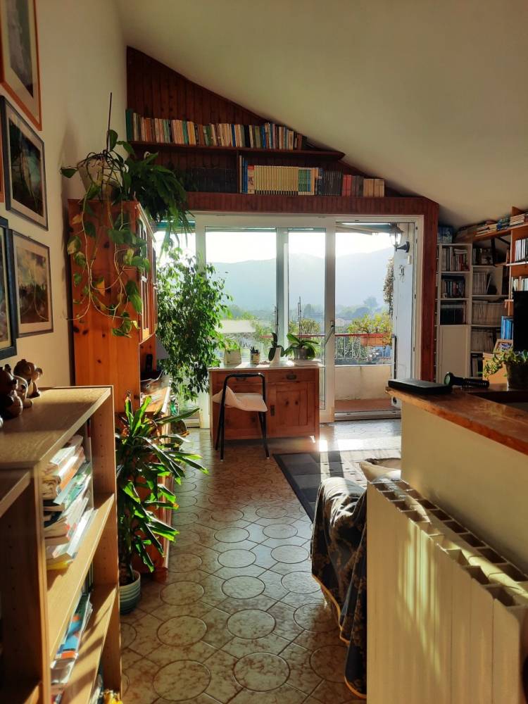 immagine annuncio 4 di 13