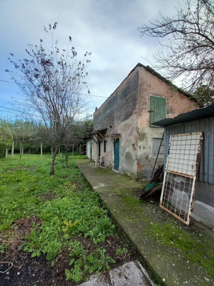 immagine annuncio 5 di 13