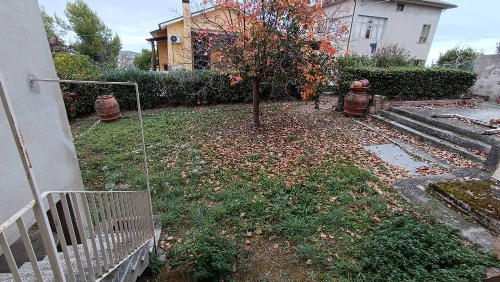 immagine annuncio 3 di 14