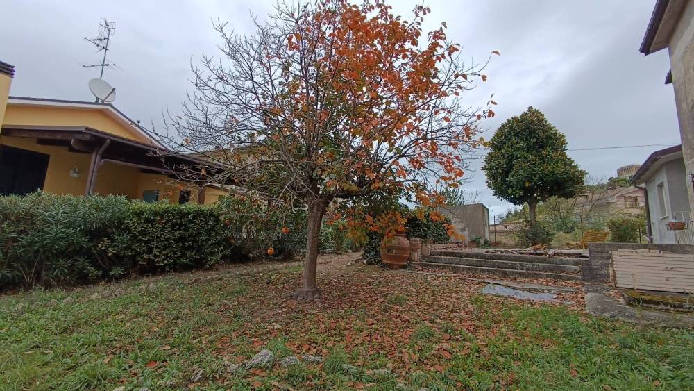 immagine annuncio 13 di 14