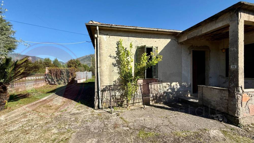 immagine annuncio 2 di 13