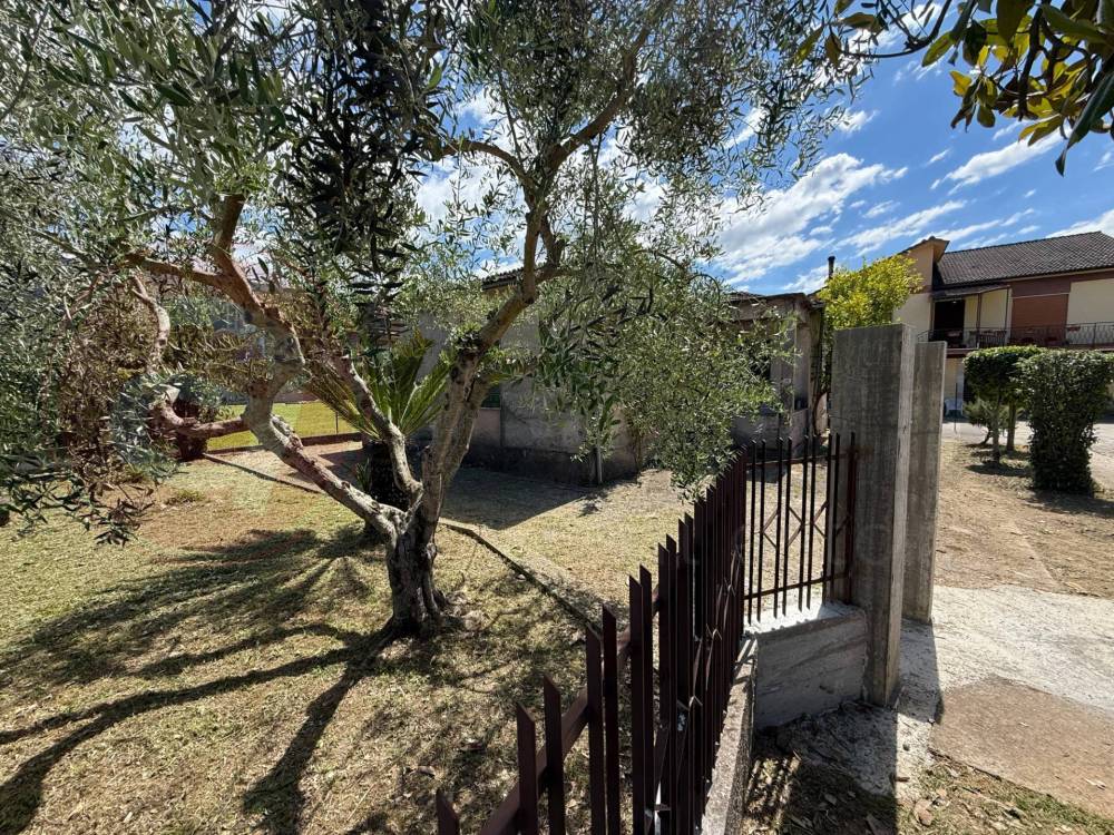 immagine annuncio 11 di 13