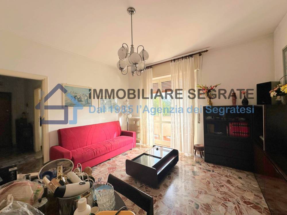 immagine annuncio 3 di 14