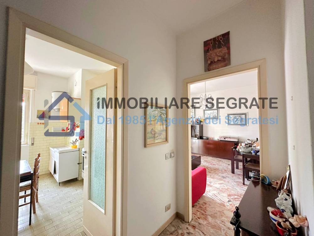 immagine annuncio 8 di 14