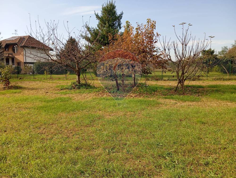 immagine annuncio 9 di 14