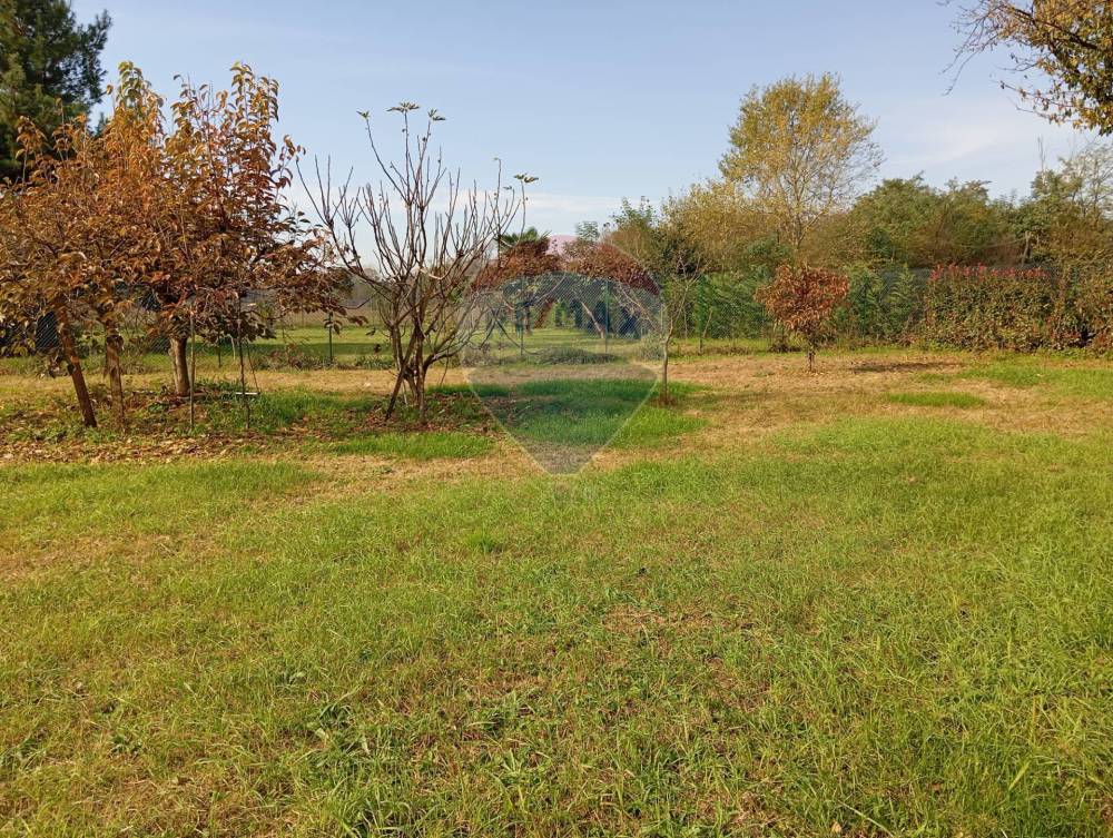 immagine annuncio 10 di 14