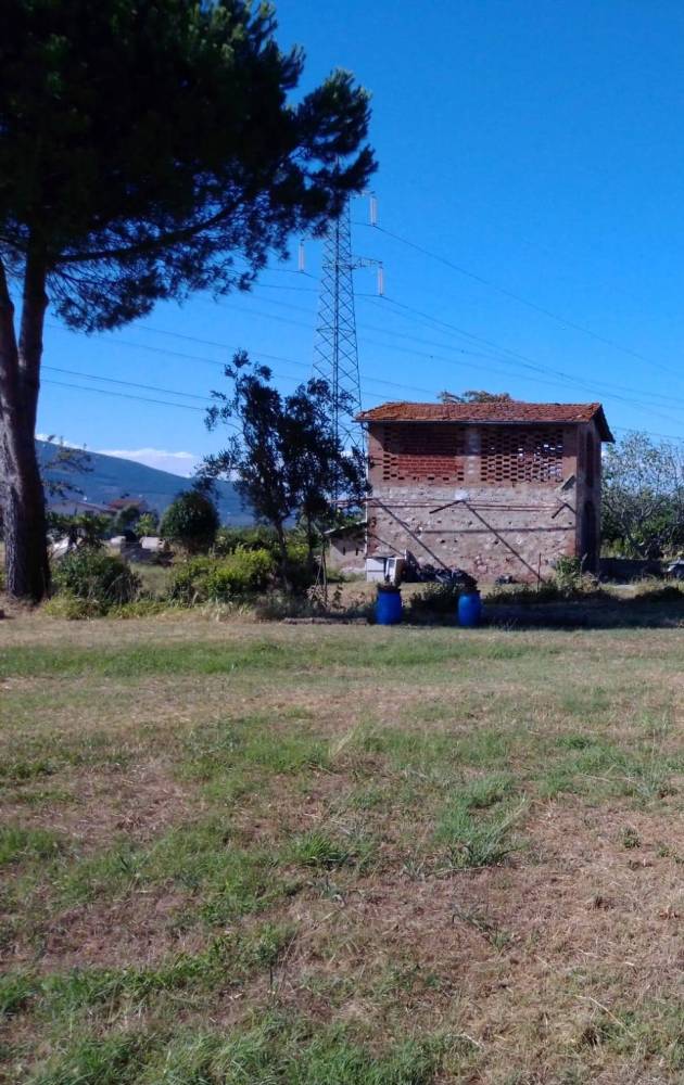 immagine annuncio 1 di 3