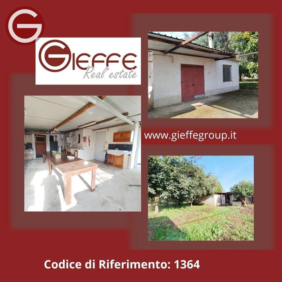 immagine annuncio 13 di 14