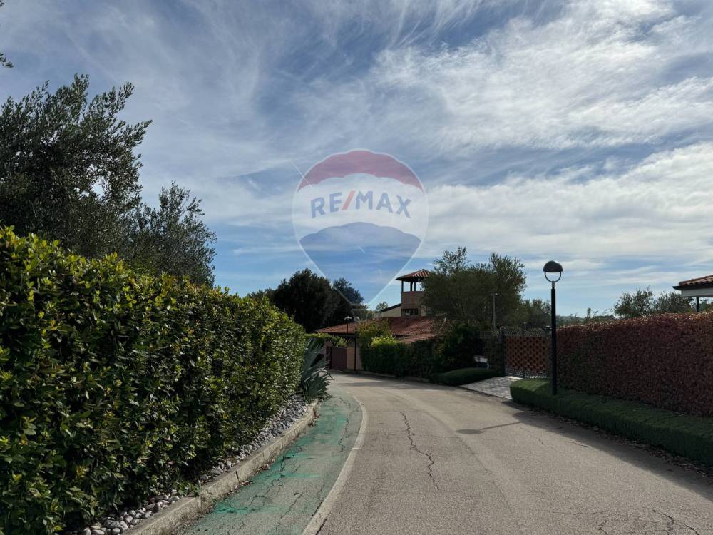 immagine annuncio 3 di 13