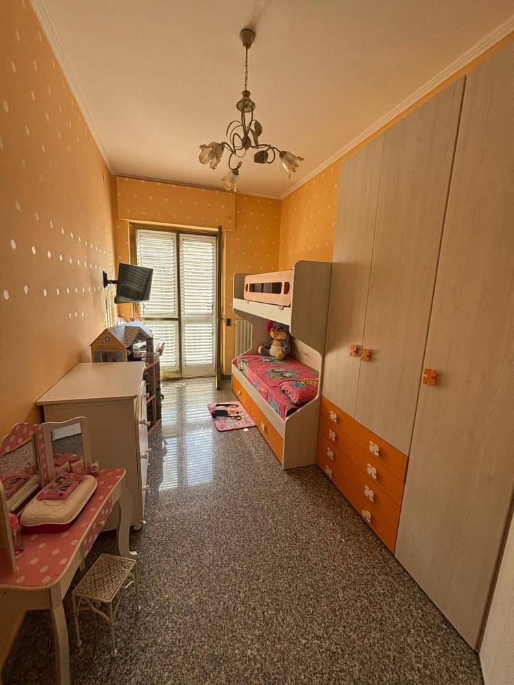 immagine annuncio 12 di 13