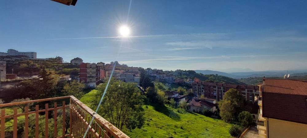 immagine annuncio 11 di 13