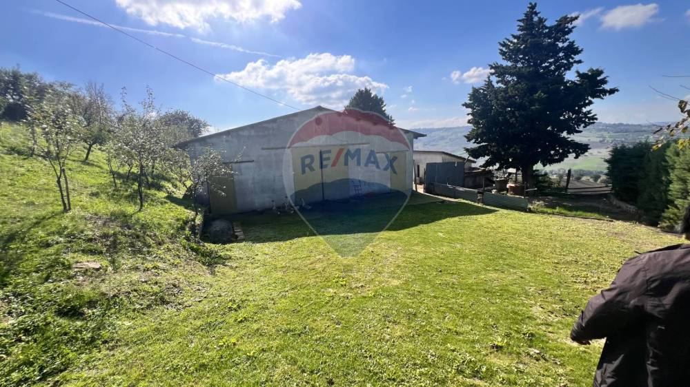 immagine annuncio 11 di 13
