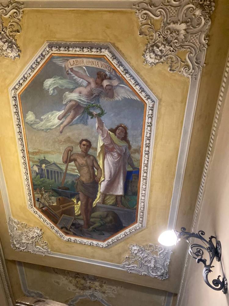 immagine annuncio 5 di 14