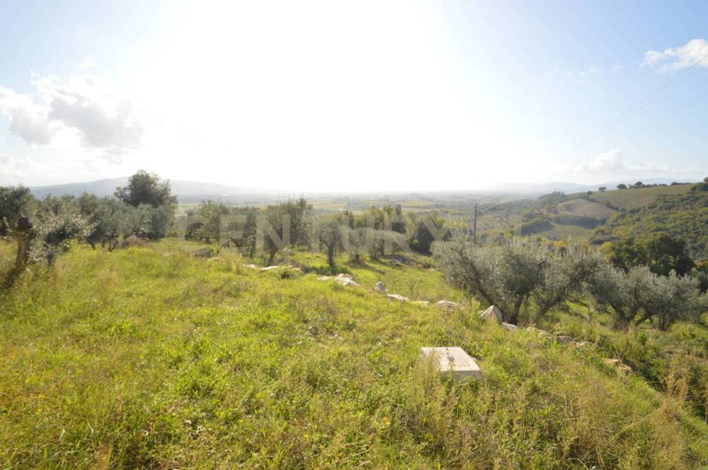 immagine annuncio 6 di 13