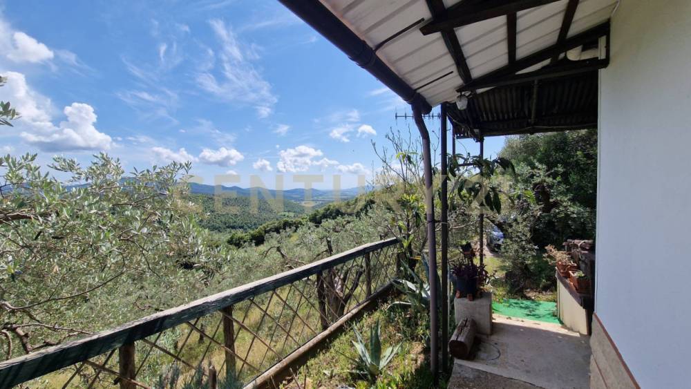 immagine annuncio 2 di 13