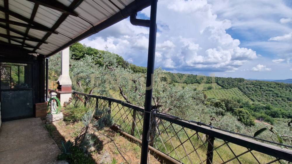 immagine annuncio 3 di 13