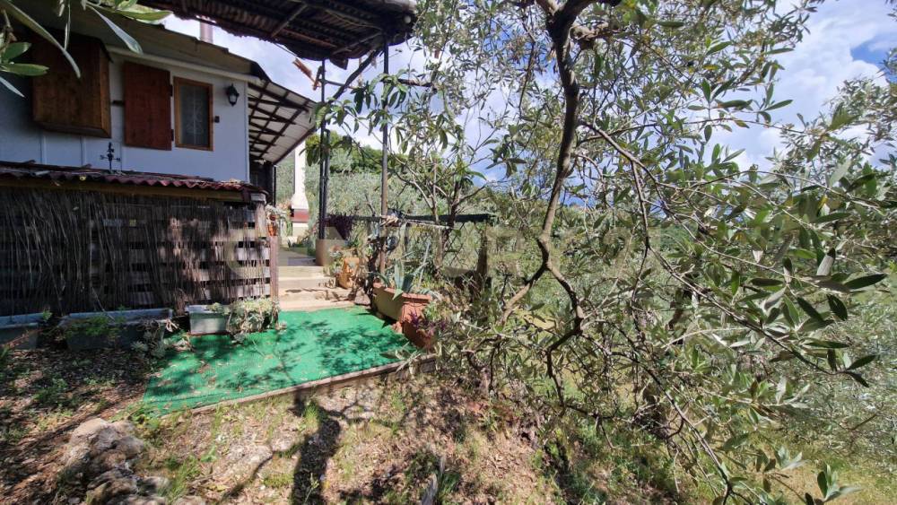 immagine annuncio 5 di 13