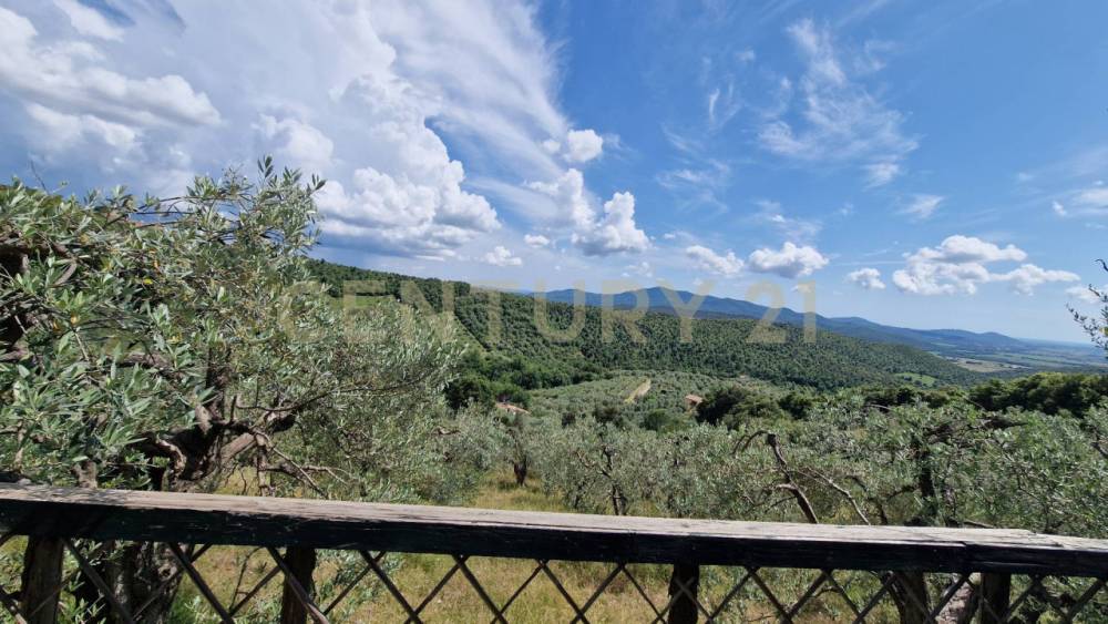 immagine annuncio 6 di 13