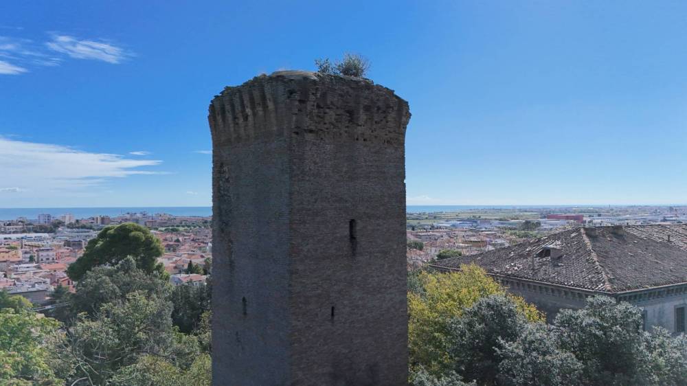 immagine annuncio 6 di 13