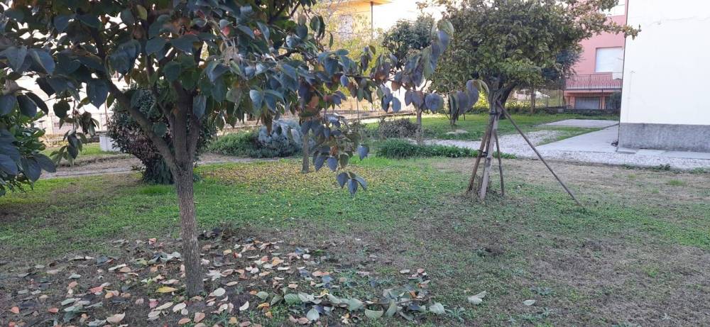 immagine annuncio 4 di 13