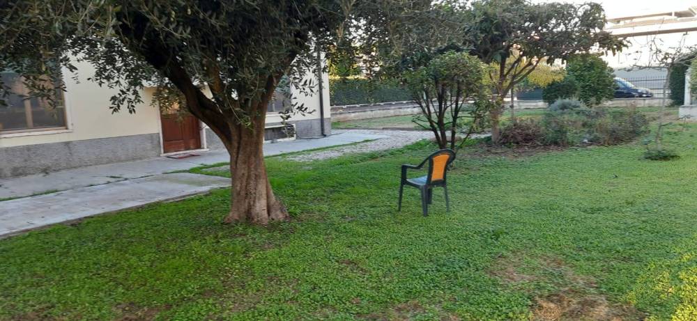 immagine annuncio 7 di 13