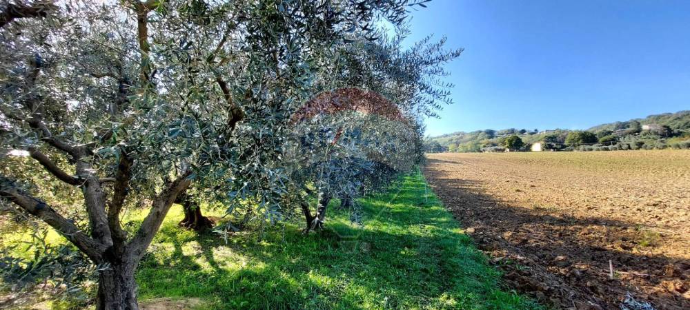 immagine annuncio 6 di 9