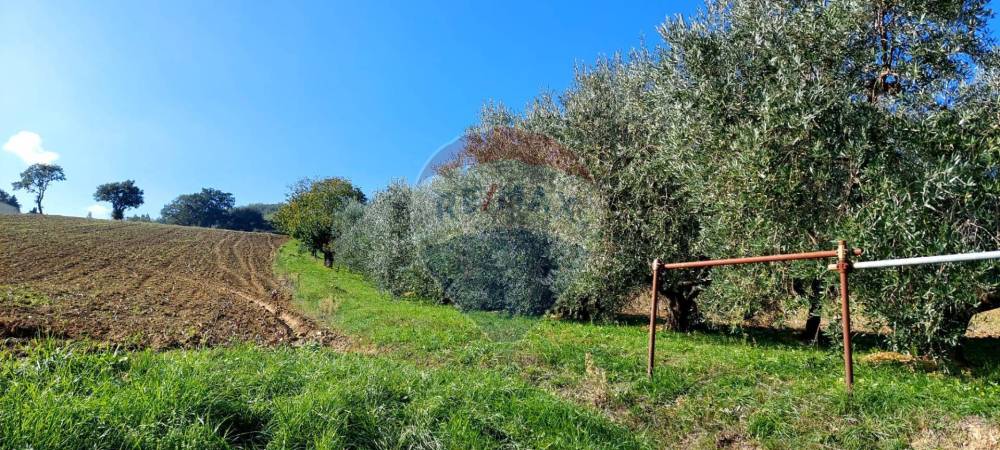 immagine annuncio 7 di 9