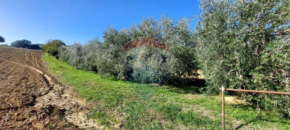 immagine annuncio 8 di 9