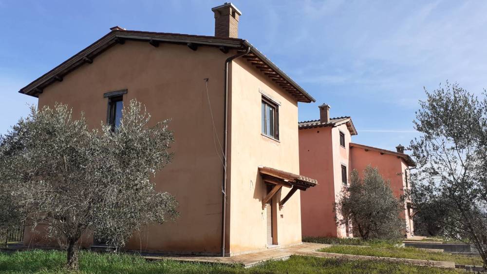 immagine annuncio 2 di 11