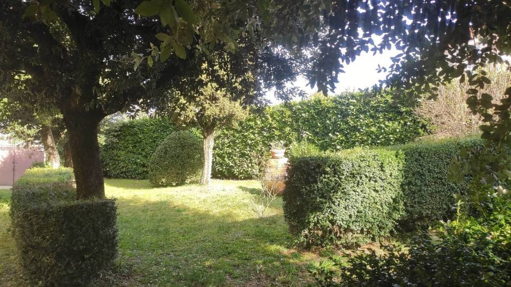 immagine annuncio 2 di 13