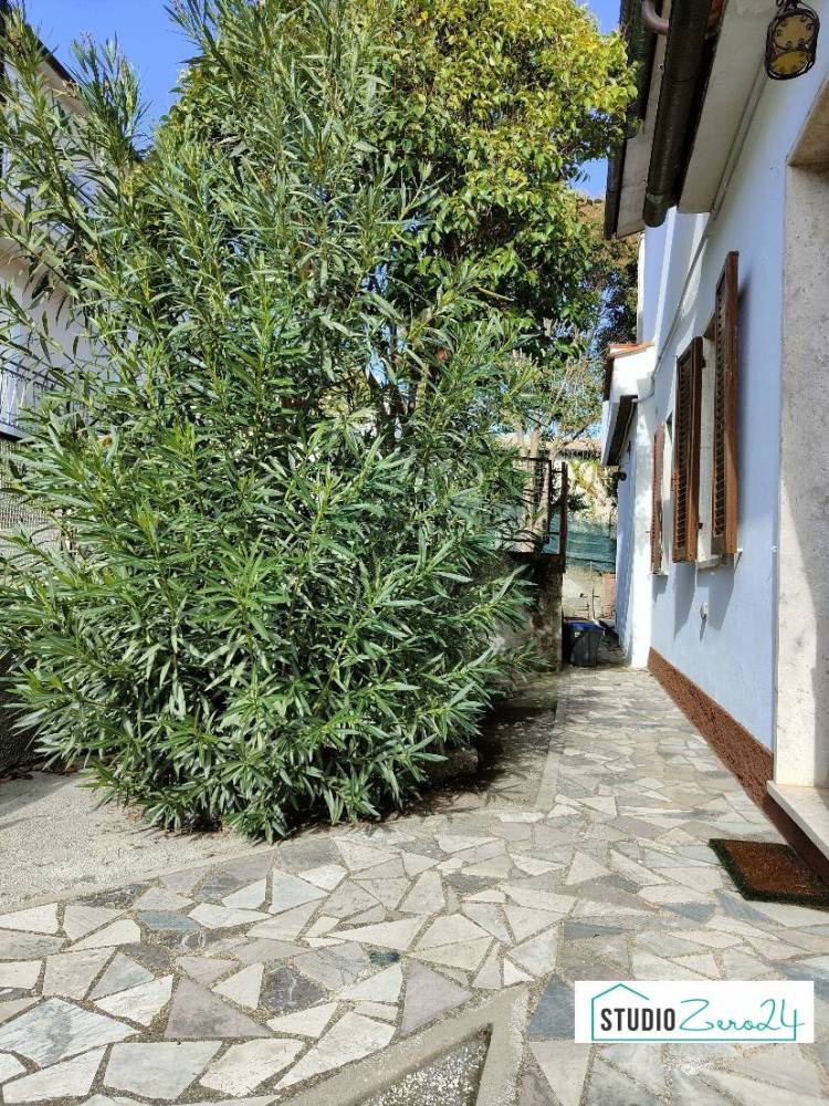immagine annuncio 2 di 13