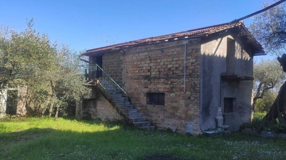 immagine annuncio 2 di 13