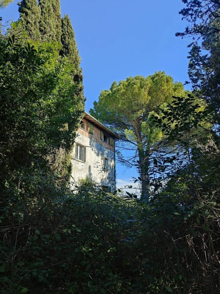 immagine annuncio 5 di 13