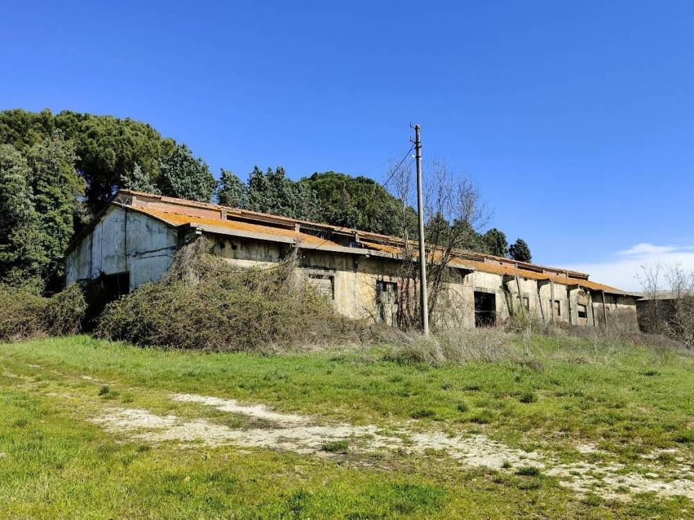 immagine annuncio 9 di 13