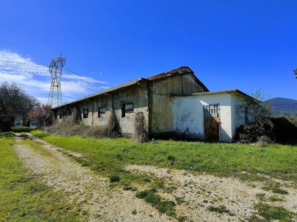 immagine annuncio 10 di 13
