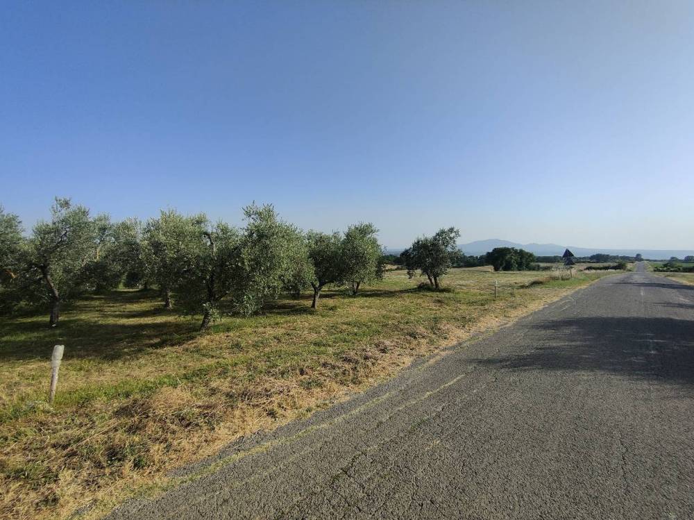 immagine annuncio 5 di 6