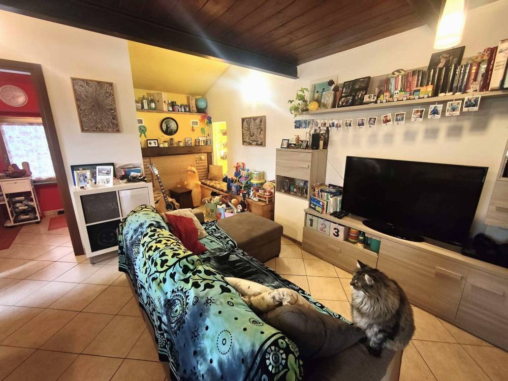 immagine annuncio 5 di 13