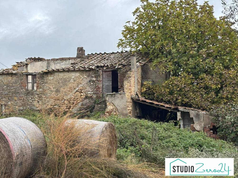 immagine annuncio 4 di 14