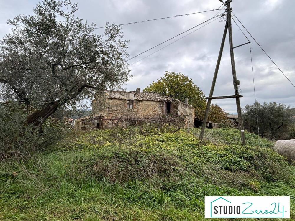 immagine annuncio 12 di 14